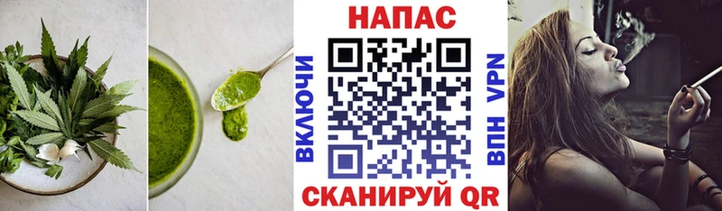 mega ссылки  Щёлково  Cannafood конопля 