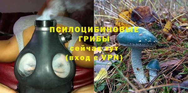 стаф Каменск-Шахтинский
