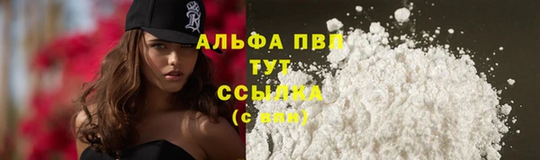 PSILOCYBIN Зерноград