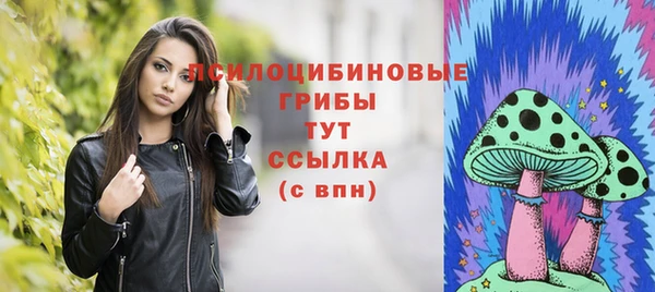 спайс Абаза